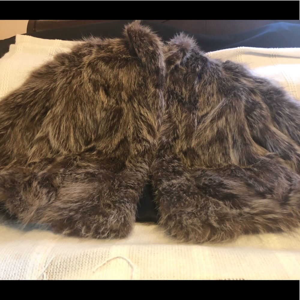 Raccoon jacket